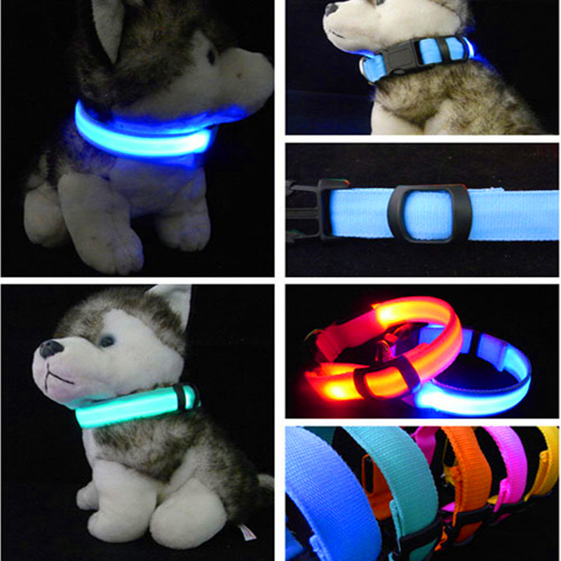 glow in the dark dog collar